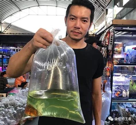 養魚的人